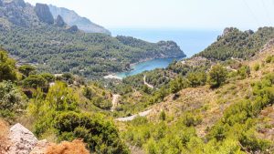 Serra de tramuntana day tour